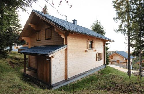 Frantschach-Sankt Gertraud Ski Chalet | Feriendorf Koralpe Chalet Arnika XL 28
