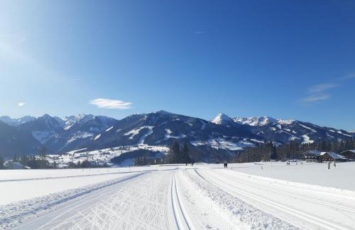 Schildlehen Ski Chalet | Ferienhaus Abendstille