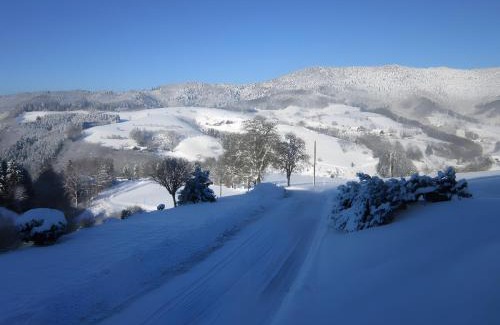 Oberharmersbach House | Ferienhaus Hubhof