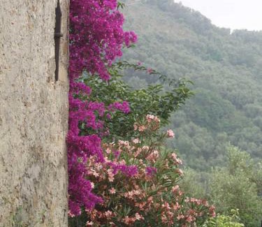 Vasia Apartment | Ferienhaus in Vasia Imperia für bis zu 4 Personen