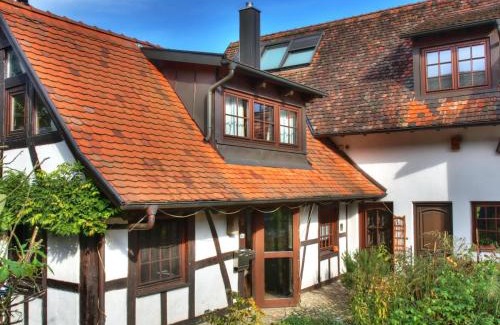 Linx House | Ferienhaus Schwarzwald bei Straßburg Europapark für 12 Personen auf 160qm