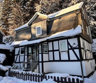 Siedlinghausen House | Ferienhaus Waldtraum Winterberg