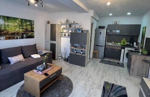 Sfantu Gheorghe Apartment | Ferienwohnung/app. für 2 Gäste mit 26m² in Sfântu Gheorghe