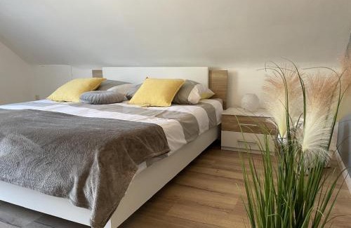 Schauenstein Apartment | Ferienwohnung am Goldberg mit überdachter Loggia