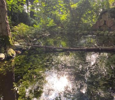 Griesenbotel Apartment | Ferienwohnung auf einem Resthof zentral gelegen mit viel Natur und Tieren