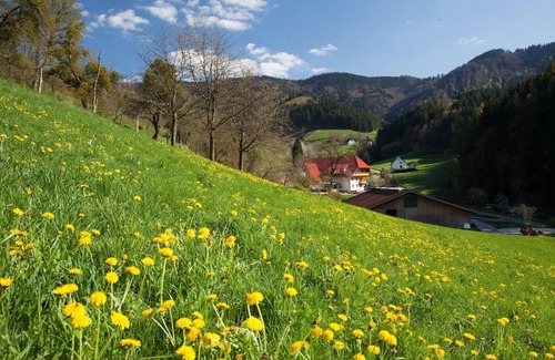 Winden im Elztal Apartment | Ferienwohnung, Tannengrün mit 70qm, 2 Schlafzimmer, für maximal 4 Personen