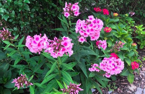 Laubegast Apartment | Ferienwohnung Elbhangblick - für 2 Personen