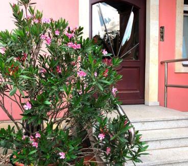 Laubegast Apartment | Ferienwohnung Elbhangblick - für 2 Personen