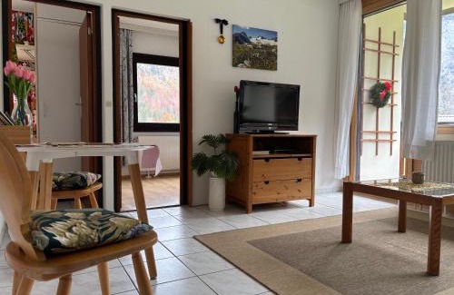 Obertraun Apartment | Ferienwohnung Held