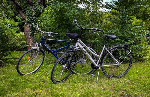 Hitzacker Apartment | Ferienwohnung Hitzacker/Elbe