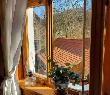 Ziegenhain Apartment | Ferienwohnung im idyllischen Jena Ziegenhain