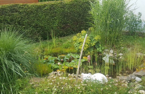 Prag Apartment | Ferienwohnung im Schönen Ilzer Land, in Nähe des Bayerischen Wald