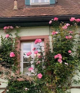 Buchen Apartment | Ferienwohnung in historischer Mühle