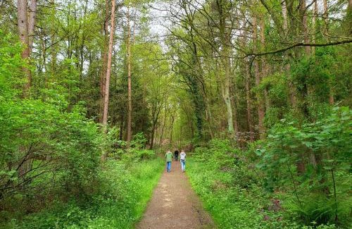 Uplengen Apartment | Ferienwohnung Moi Tied 35677