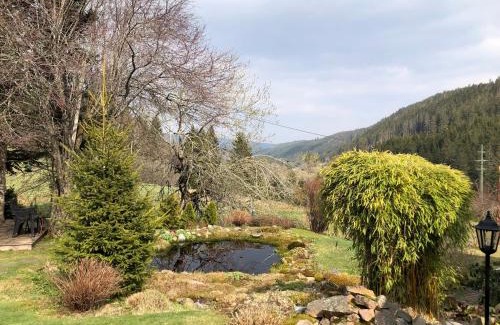 Falkau Apartment | Ferienwohnung Schwarzwaldglueck