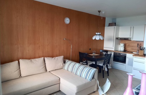 Goslar Apartment | Ferienwohnung "skadi", Hahnenklee, Goslar, Harz