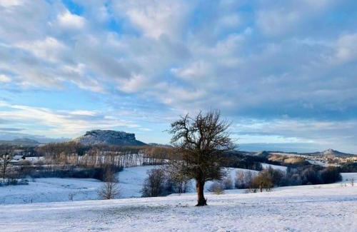 Pirna Apartment | Ferienwohnung "Spatzennest"