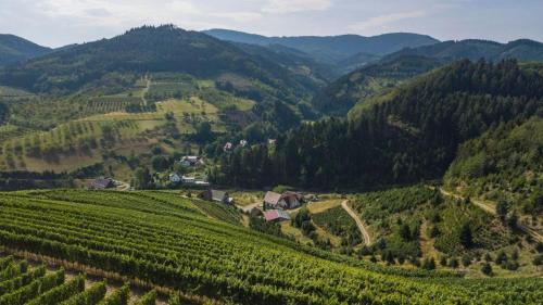 Oberkirch Apartment | Ferienwohnung Steinhof