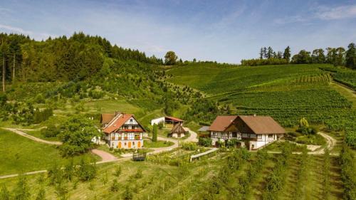 Oberkirch Apartment | Ferienwohnung Steinhof