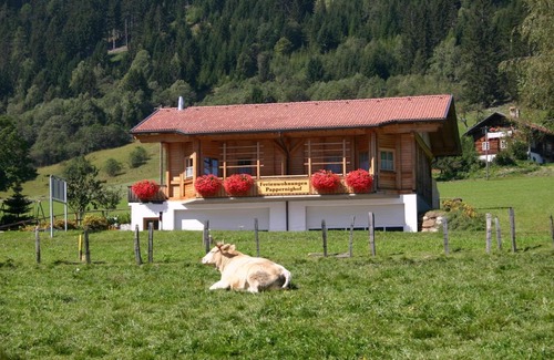 Iselsberg-Stronach Apartment | Ferienwohnung Suntinger