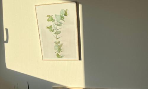 Muckenloch Apartment | Ferienwohnung Talblick