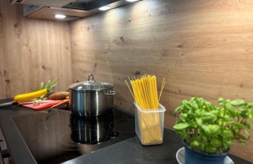 Juns Apartment | Ferienwohnung Tux