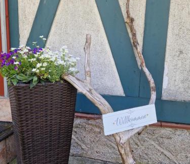 Stiege Apartment | Ferienwohnung Waldblick