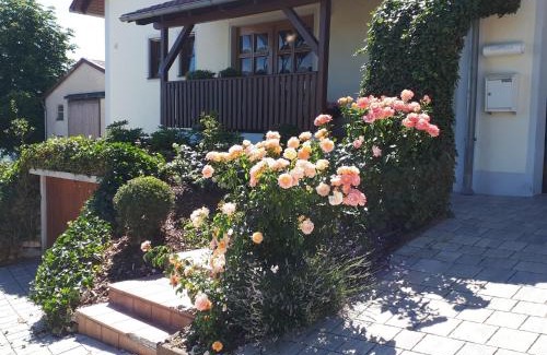 Sinzing Apartment | Ferienwohnung Weigert