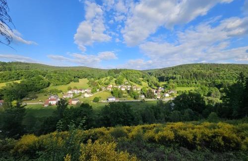 Finkenbach Apartment | Ferienwohnung zum Finkenbachtal