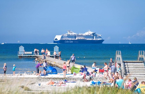 Stein Apartment | Ferienwohnungen Nicolai - Deichresidenz Stein