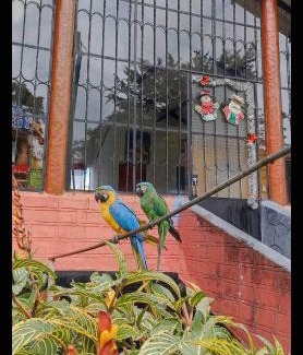 Moniquira Apartment | Finca la cristalina