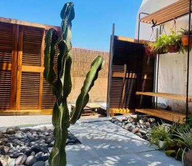 Agaete Apartment | Finca Oaxaca - Casa Tortuga
