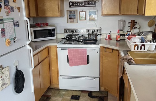 Deerwood Cabin | Fishing cabin in the pines! 50 acres of lakeshore forest, & only YOU! Beauty.