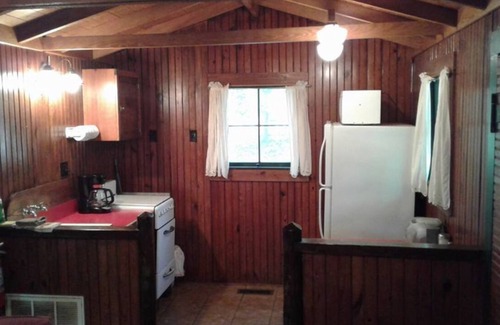 Hot Springs Cabin | FIVE POINTS~LAKE HAMILTON: Cabin#4 ~ 1BR w/Queen Bed, Futon in LR, Full Kitchen, Breakfast "Fixins" Provided, Jetted Tub