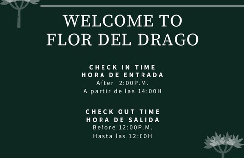El Guincho Apartment | Flor del Drago