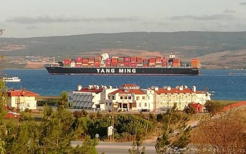 Sutluce Hotel | Flora Hotel