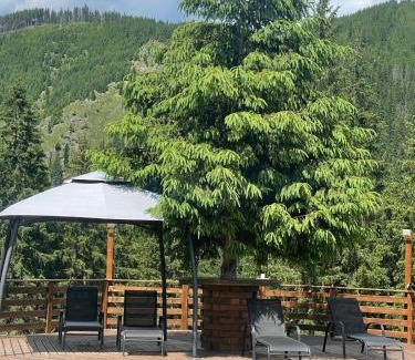 Cozanesti Cabin | Foisorul Codrilor