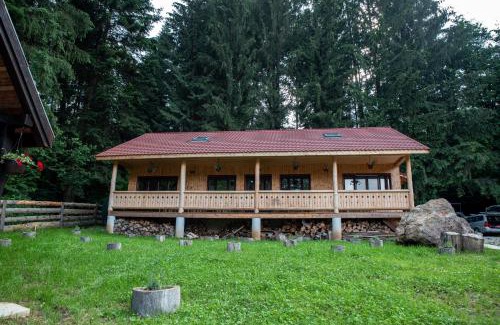 Baile Tusnad Bed & Breakfast | Forest Resort