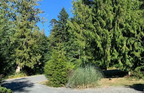 Mill Bay Apartment | Forest trails suite