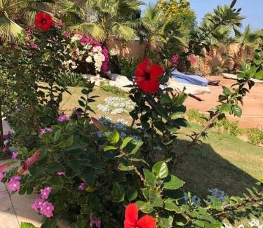 Al Ahyaa Apartment | Fox House Resort Apartment