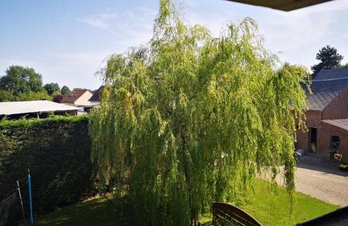 Saint-Quentin-Lamotte-Croix-au-Bailly House | Gite a la Ferme - Baie de Somme