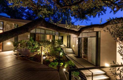 Travis Heights Hotel | Frame Hotel - Treehouse