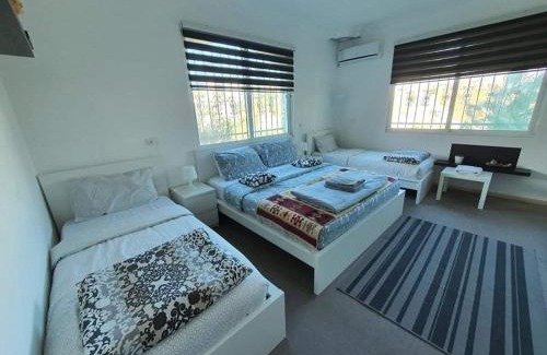 Jerash Apartment | Full Panorama To Archaeological Site Jarash