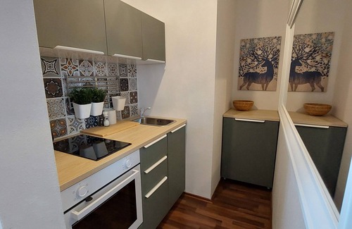Erfurt Old Town Apartment | Fully equipped apartment in the center of Erfurt incl. parking space