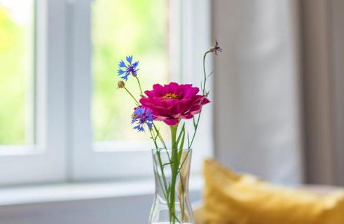 Sankt Dionys House | Gästezimmer St. Dionys