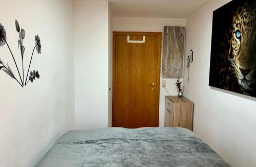Seekirchen Markt Apartment | Gästhaus "Seeblick"