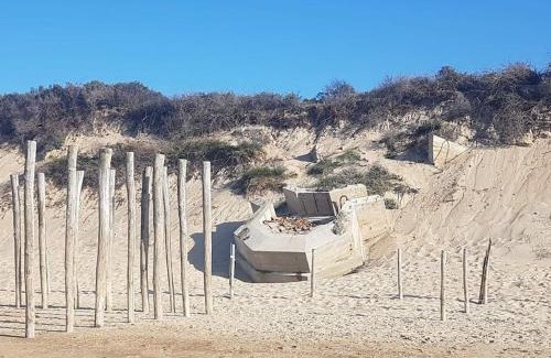 Oye-Plage House | Gîte 3 chambres neuf proche plage