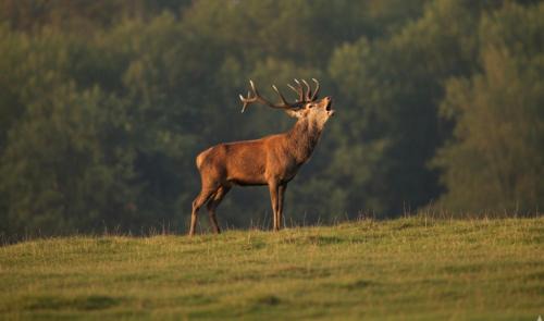 La Roche-Posay House | Gîte 4 pers proche cure thermale, Futuroscope, calme et nature à La Roche Posay