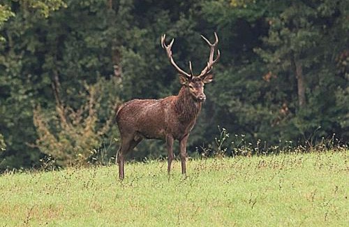 La Roche-Posay House | Gîte 4 pers proche cure thermale, Futuroscope, calme et nature à La Roche Posay