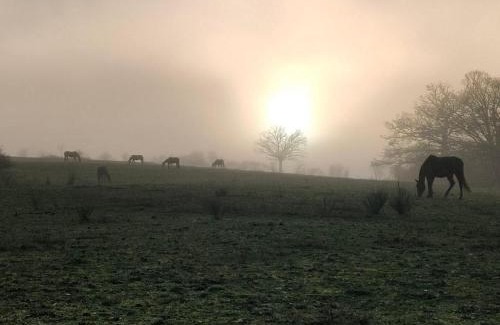 Saint-Bonnet-de-Four House | Gîte Authentique à la Ferme avec Wifi et Animaux Admis - FR-1-489-561